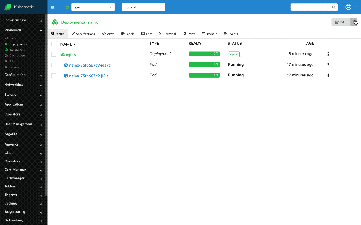 Nginx Deployment Update version