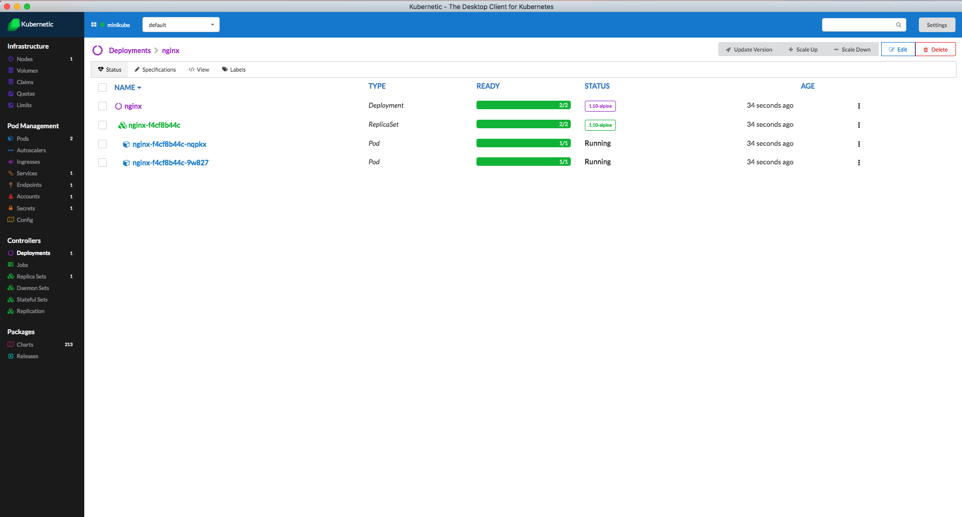 Deployments: Nginx Deployment with 2 Pod replicas