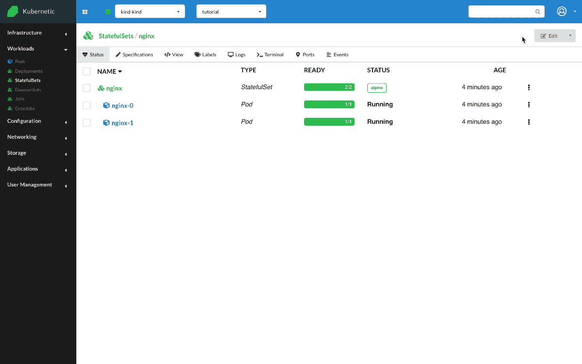 Nginx StatefulSet Update version